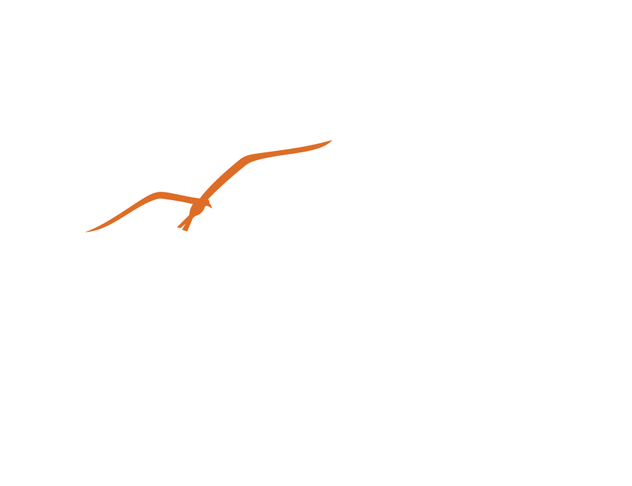 livin life teardrop campers